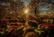 Marvão: Uma viagem a um Alentejo diferente