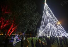 As 5 maiores árvores de Natal do país para ver no fim de semana