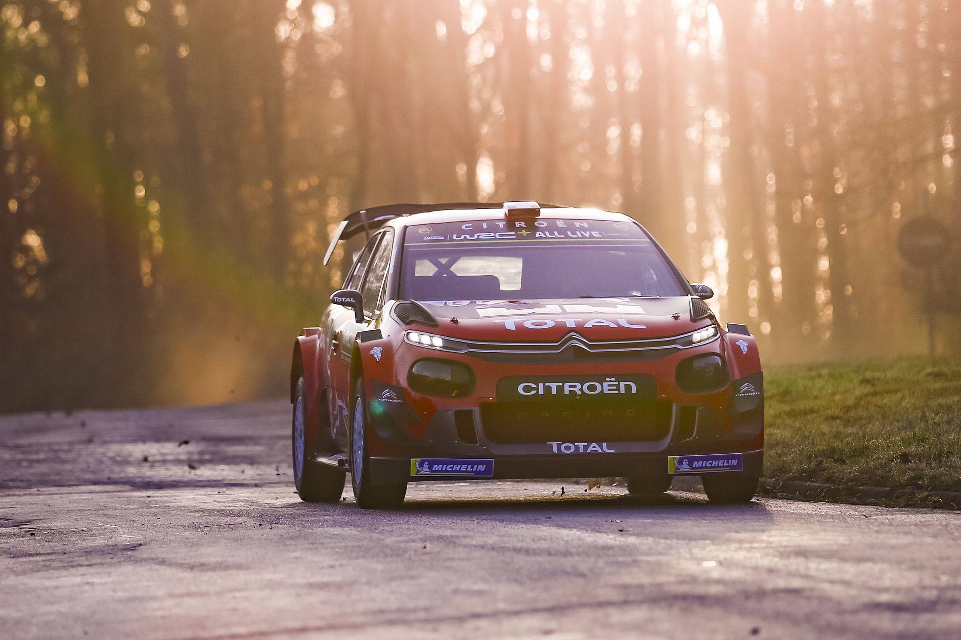 Citroen WRC 2019 (2)