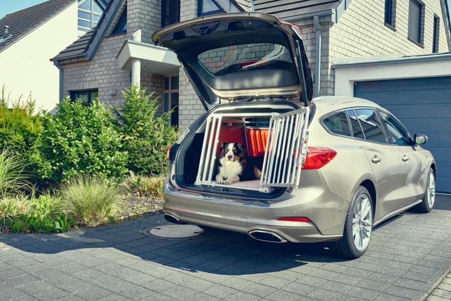 2019_FORD_FOCUS_DOGBOX_3-960×600 (1)