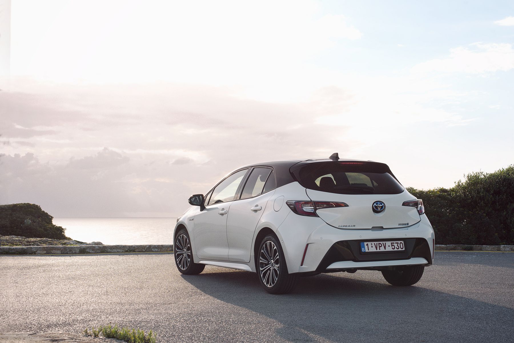 Corolla_HB_1.8L_White_Bitone_2019_002