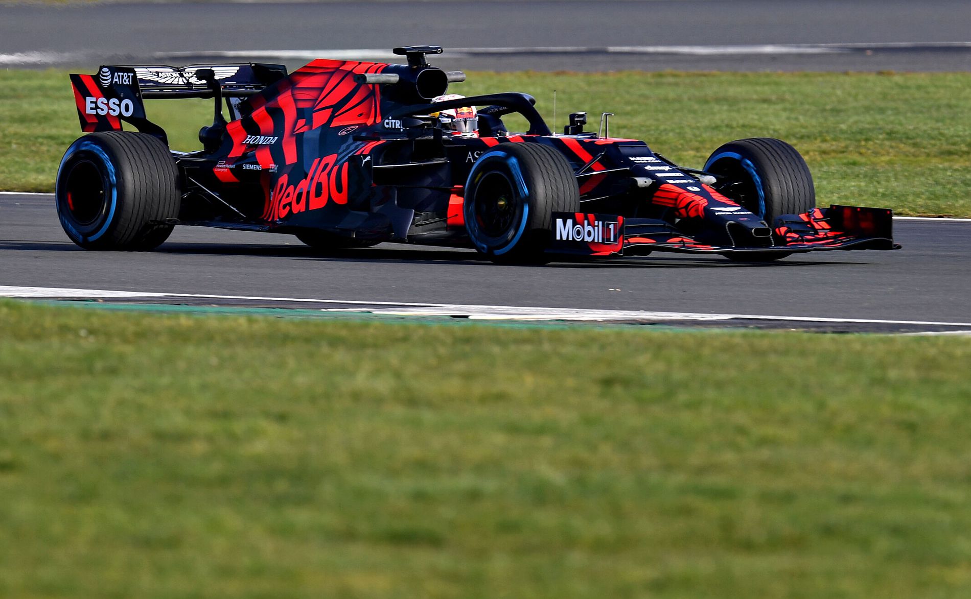 Red Bull RB15 2019 (9)