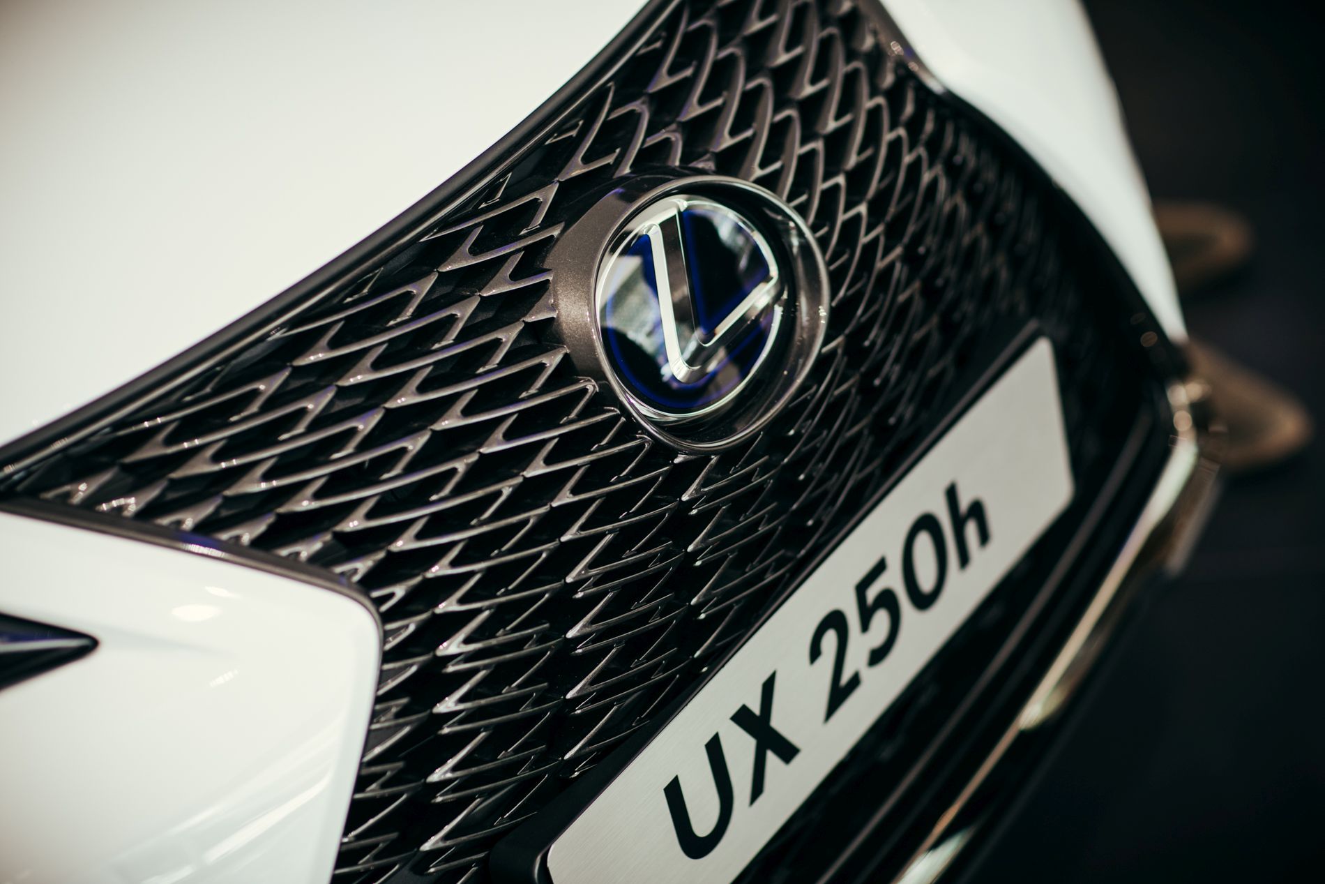 Lexus UX 2019_Evento em Lisboa (349)