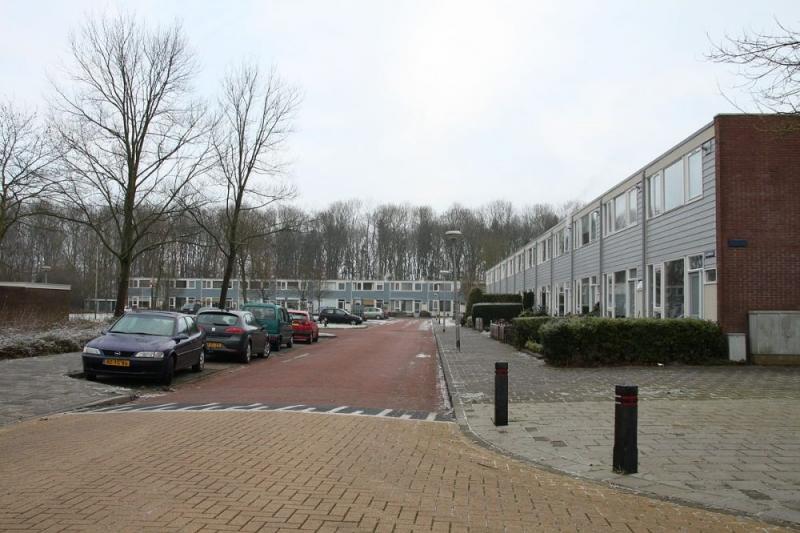 Straat_Nagele