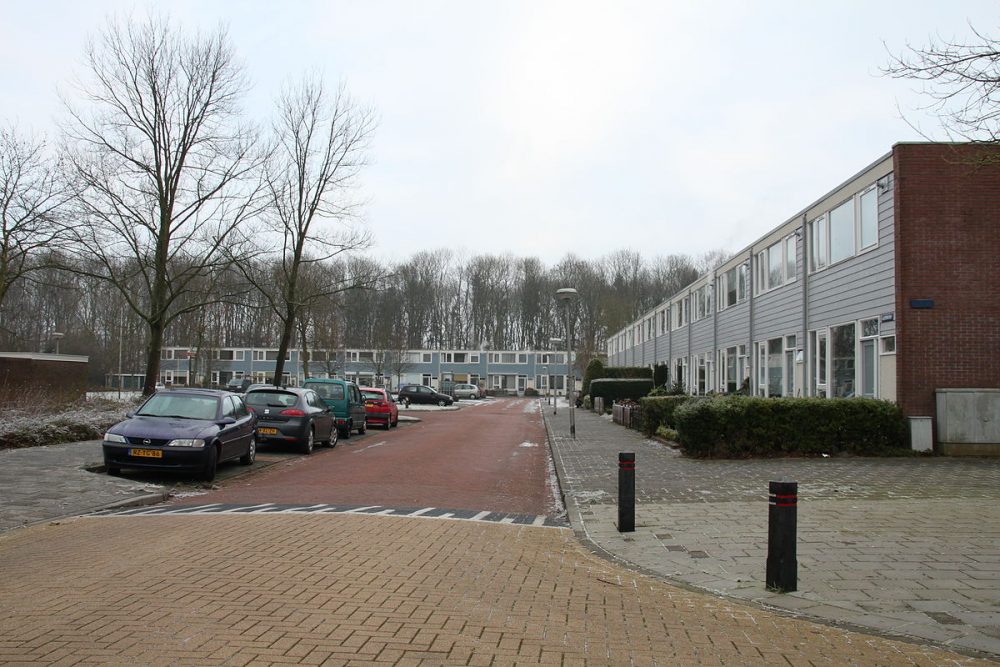 Straat_Nagele