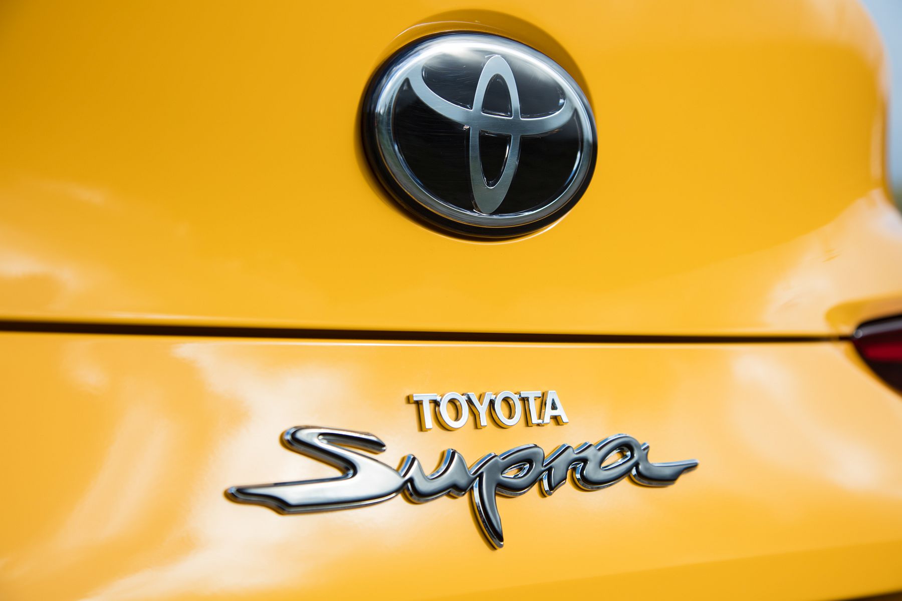 Supra 2019 Yellow_24