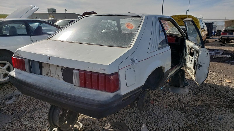 junked-1979-ford-mustang-cobra-1 (10)