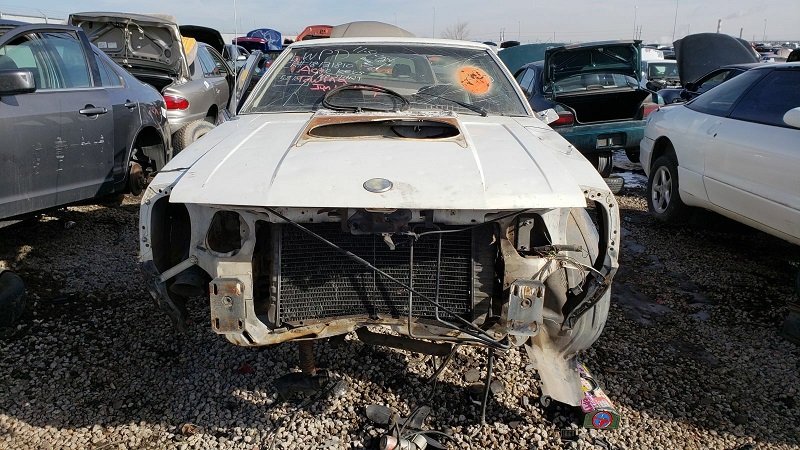 junked-1979-ford-mustang-cobra-1 (4)