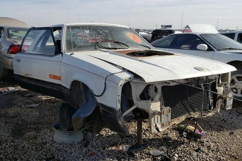 junked-1979-ford-mustang-cobra-1 (8)