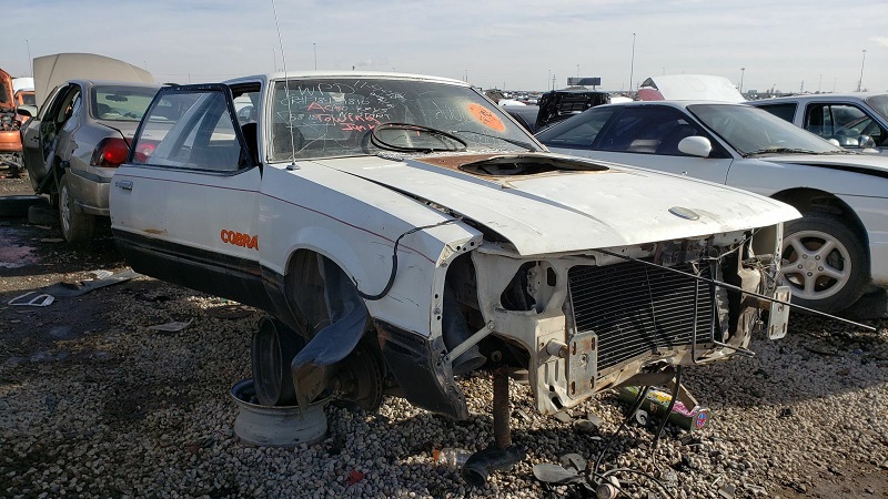 junked-1979-ford-mustang-cobra-1 (8)