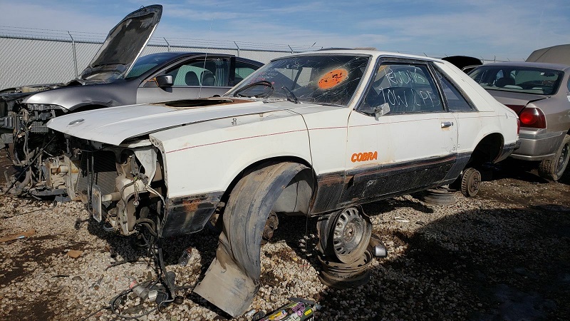 junked-1979-ford-mustang-cobra-1