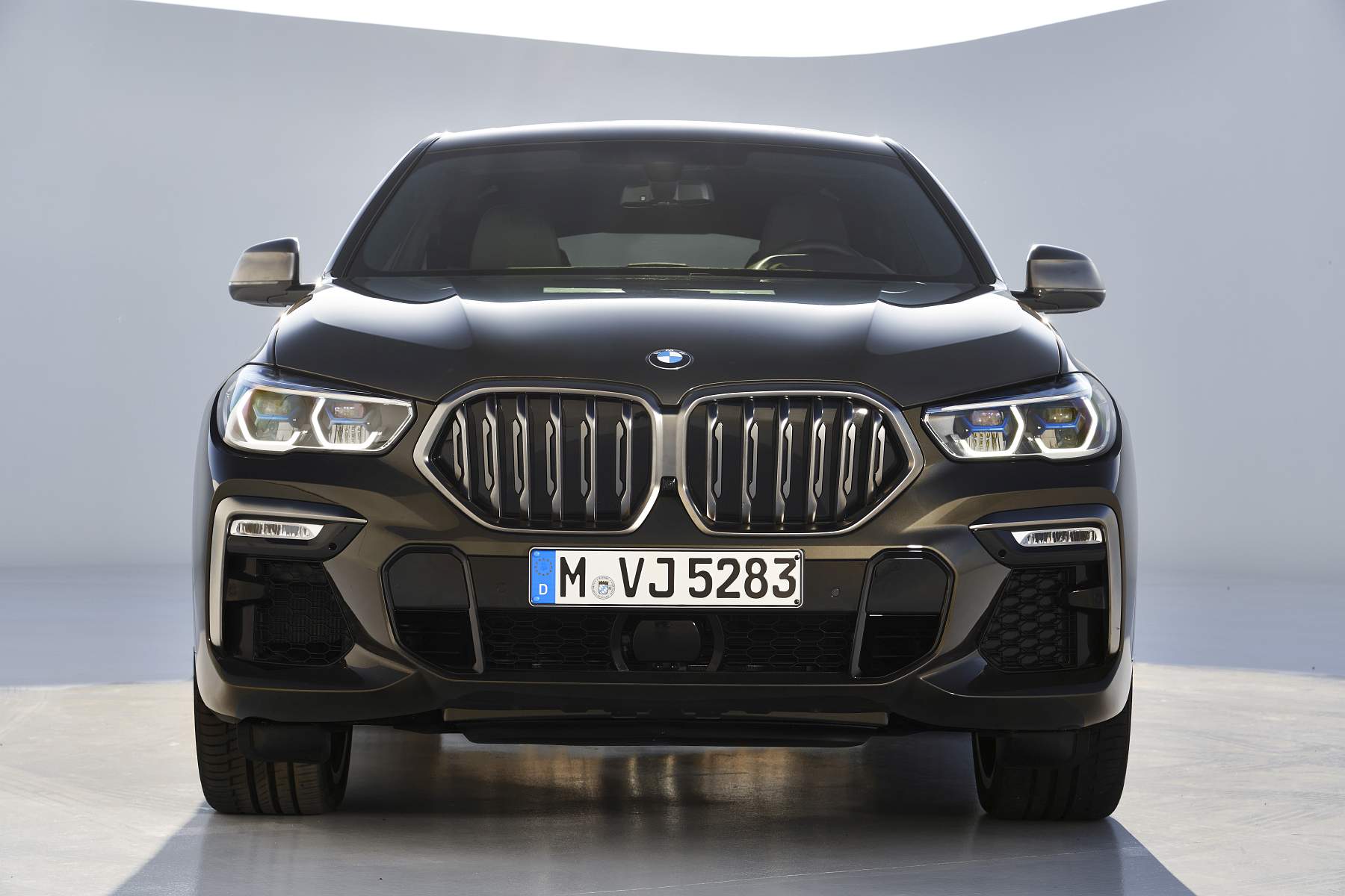 BMW X6 oficiais 2019 (15)