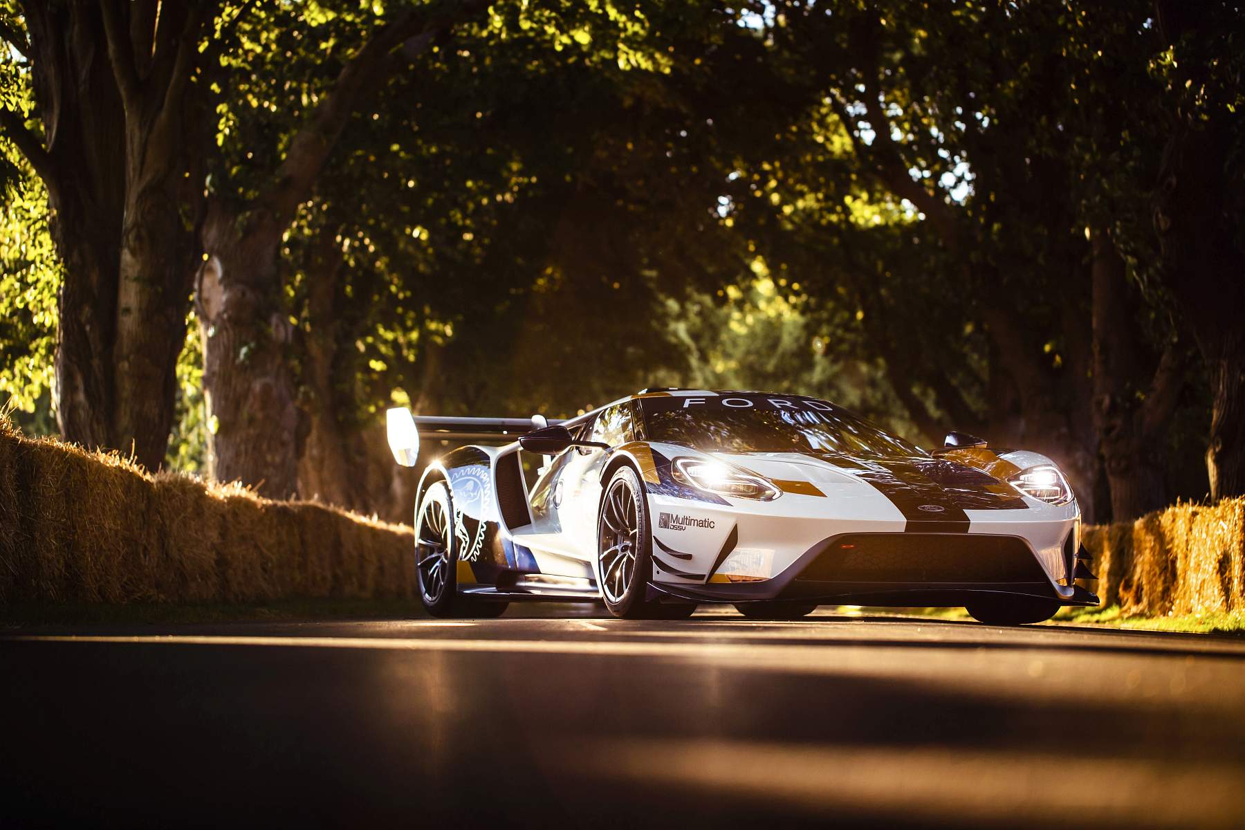 Ford GT MKII.
Goodwood, England
2nd July 2019
Photo: Drew Gibson