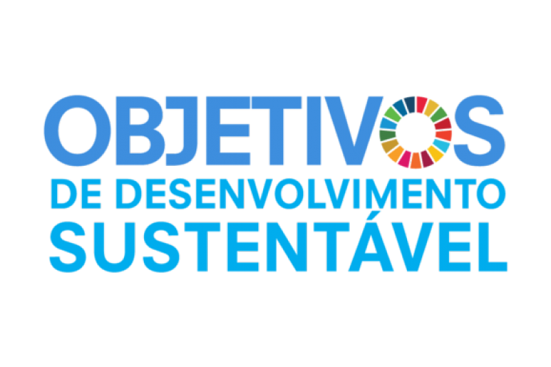 SDG_LOGO_PT_partner-696×385