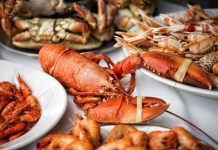 Festival Sem Espinhas volta para celebrar o peixe e marisco de Espinho