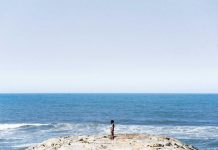 Crónica de Carina Fonseca: as palavras preferidas