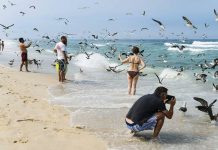 Mira: comer, dormir e passear entre o mar e uma lagoa