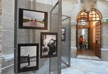 Pesca, francesinha e arte: roteiro de um lisboeta no Porto (dia 2)