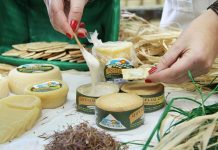 Queijo português ganha medalha de ouro nos World Cheese Awards
