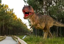 Parque de dinossauros da Lourinhã vai abrir de noite – pela primeira vez