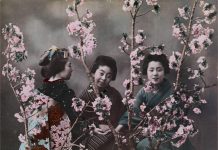 Um fim de semana repleto de cinema, fotografia e design no Norte