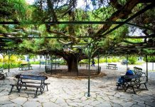 6 programas para o último fim de semana de outubro na Grande Lisboa