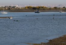 Seixal: Pedalar, passear e correr na baía que viu partir caravelas de Vasco da Gama