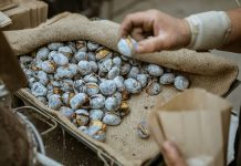 6 ideias para o fim de semana de São Martinho na Grande Lisboa