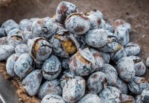 Está aí a festa da cor do outono: 8 vinhos para beber com castanhas