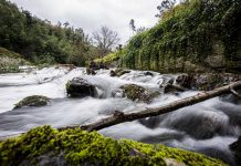 Amarante: natureza e tradição à volta do rio
