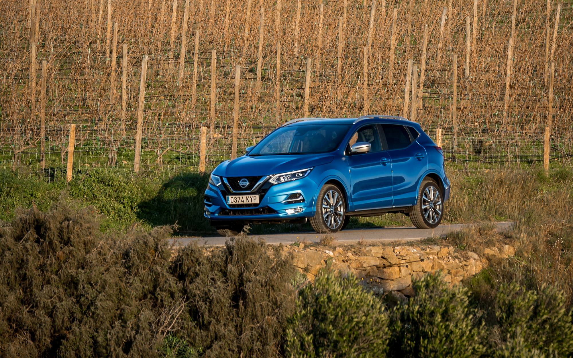 Nissan Qashqai 2019 (3)