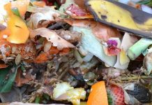 Escolas selecionadas para implementação de compostagem em meio escolar