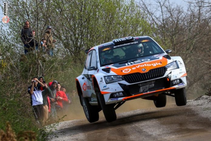 Armindo Araújo Fafe1