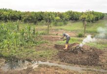 Um plano para relançar a economia angolana