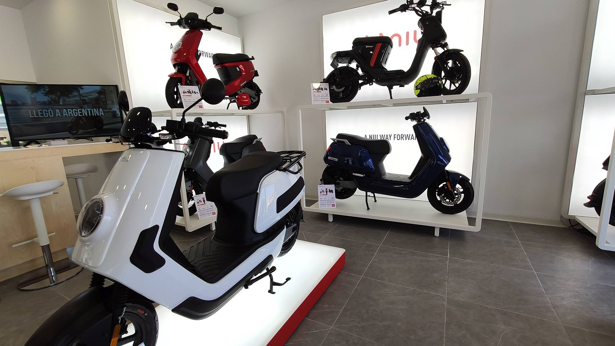 Niu Alcantara 2020 (2)