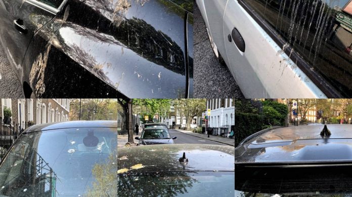 bird_poo_FINAL-1104x621