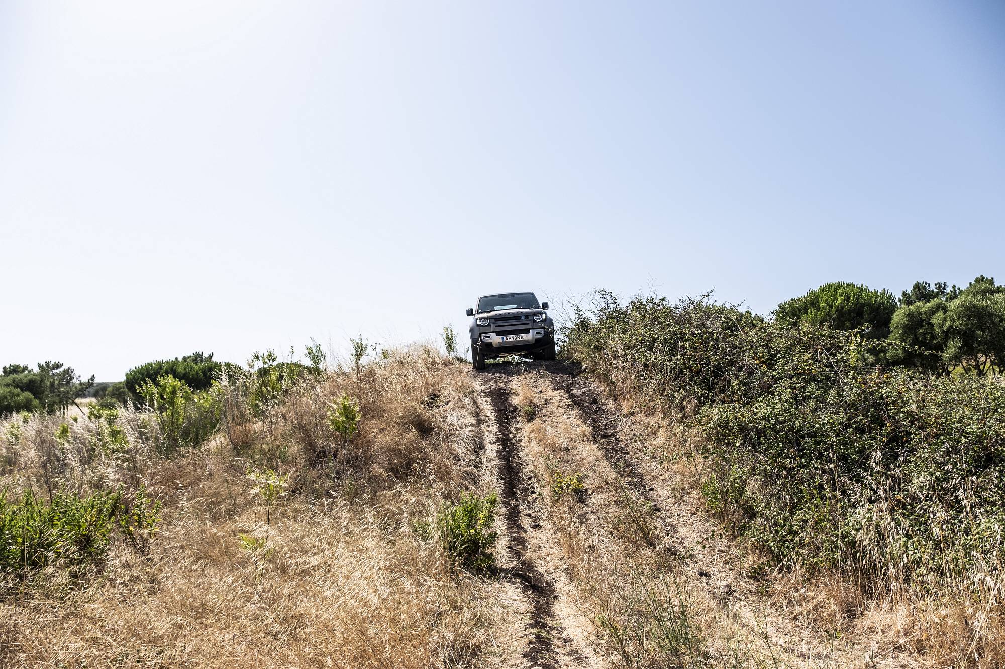 Land Rover Defender_2020_Fernando Marques_M24 (15)