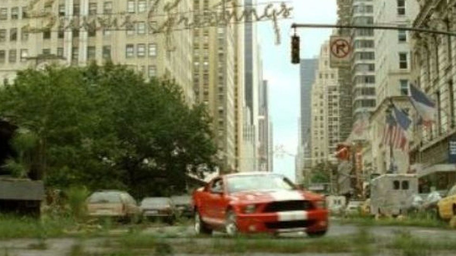 2007-26160-captured-on-film-ford-shelby-mustang-gt5001