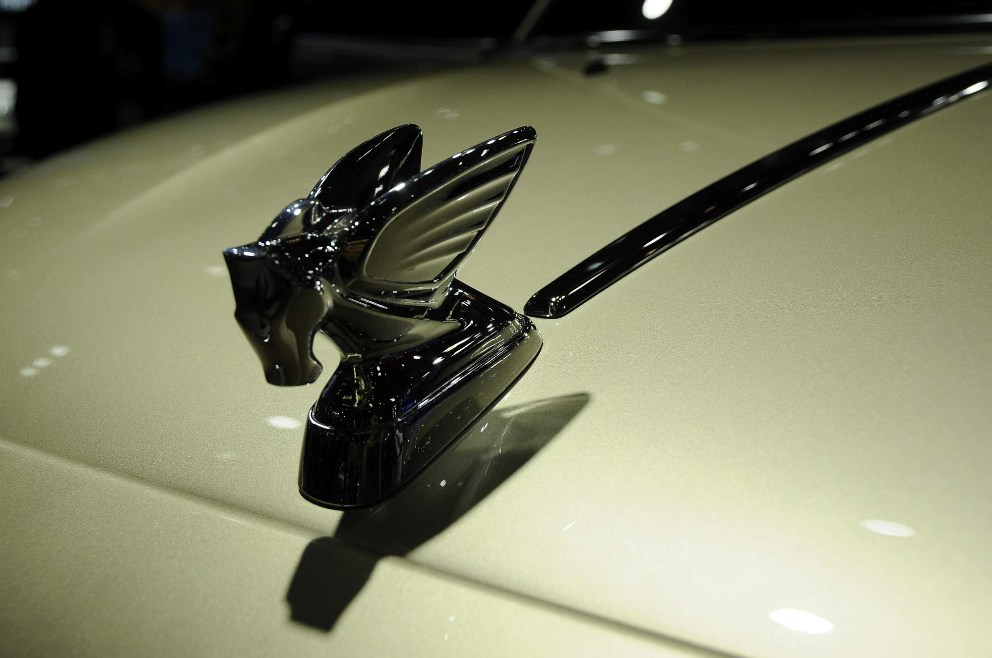 Salão de Pequim 2020 (68)