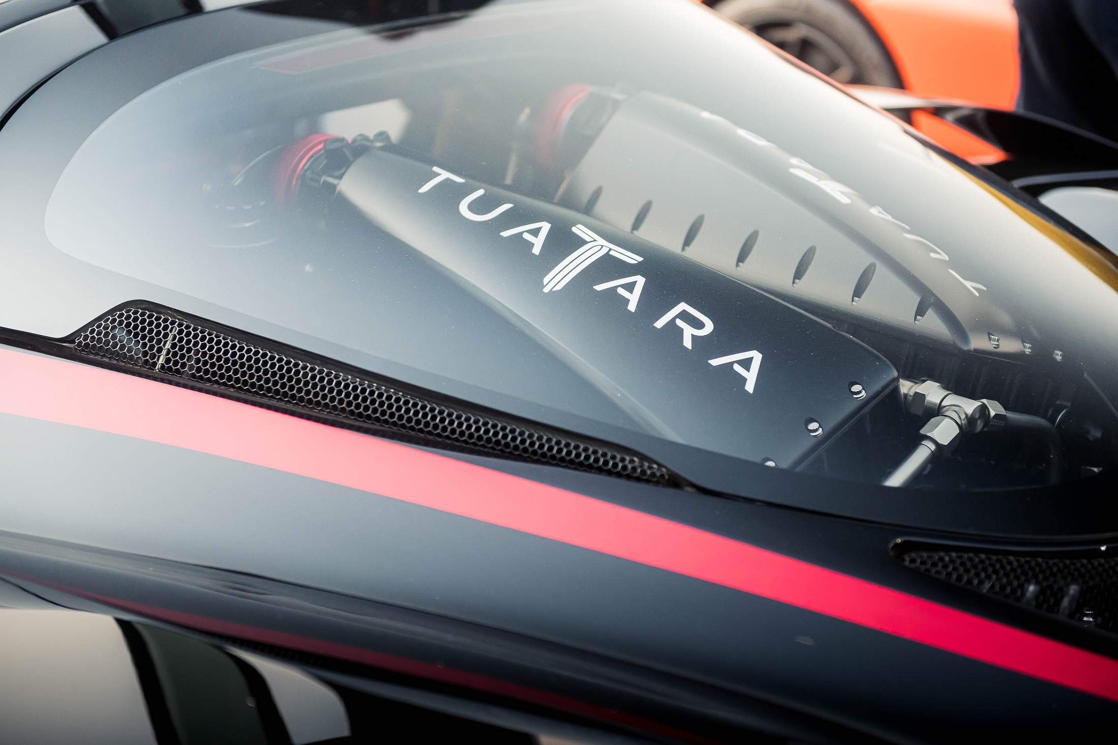 5f888ab17d2a9a31c0fb4944_SSC_Tuatara_Record-11