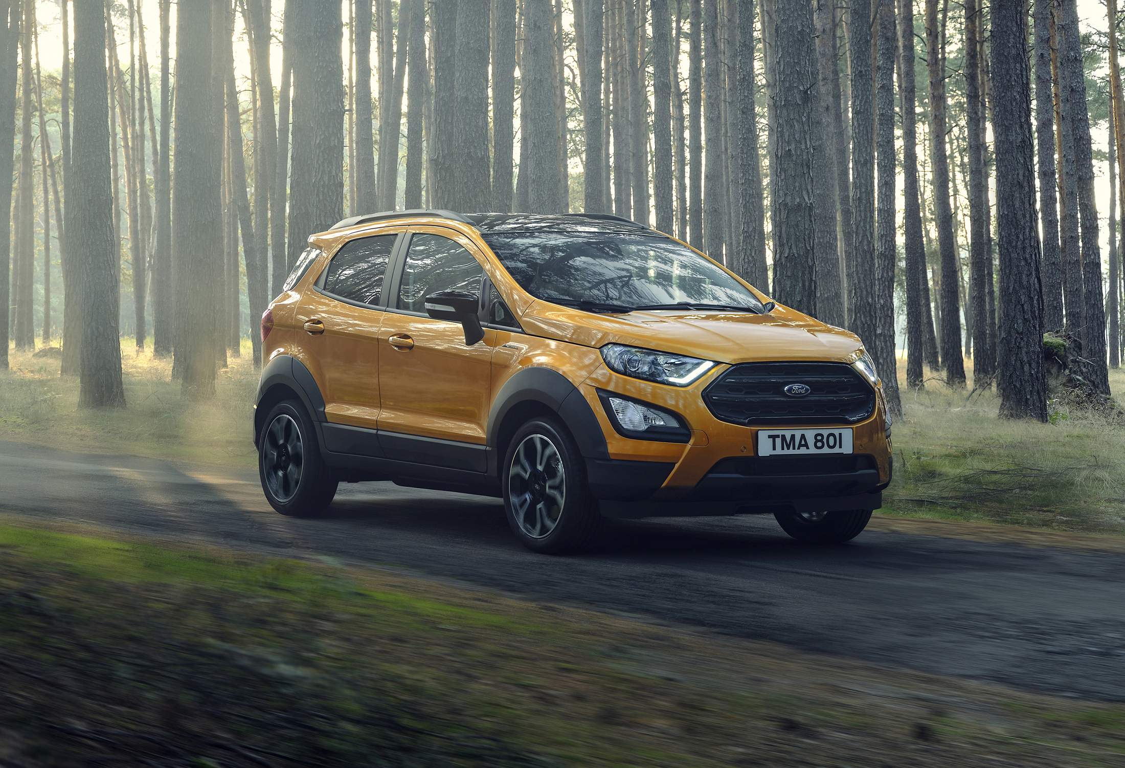 2020_FORD_EcoSport_Active_10
