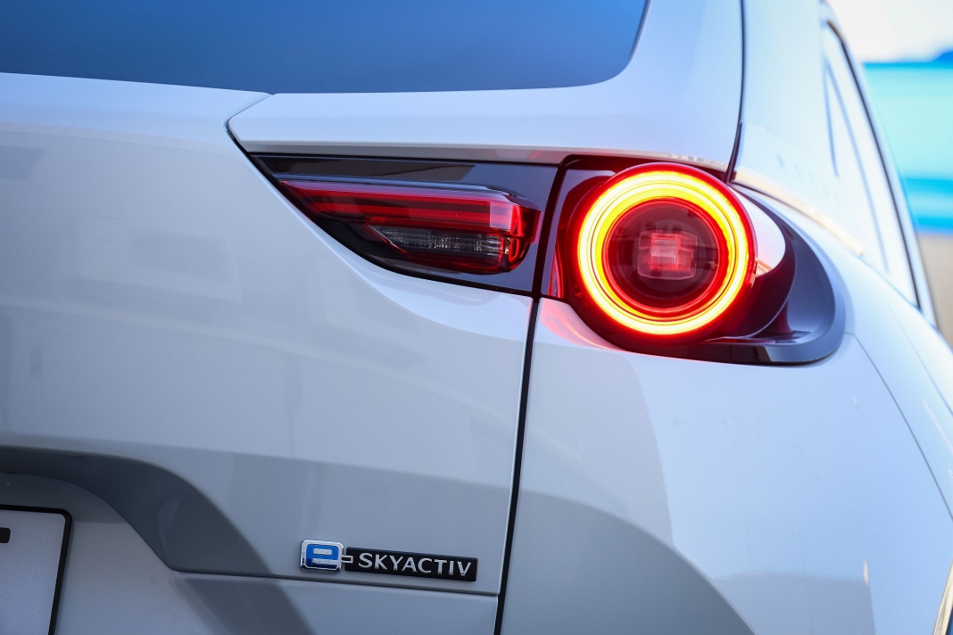 Mazda-MX-30 2021 (19)