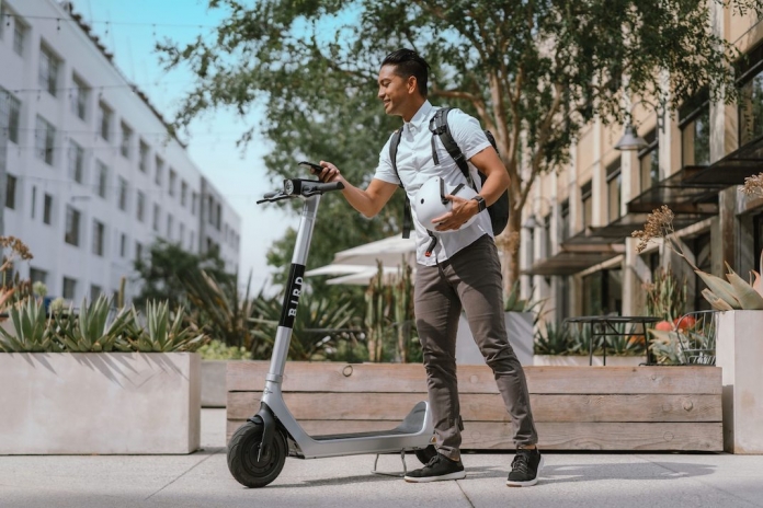 1 bird_almeirim-scaled