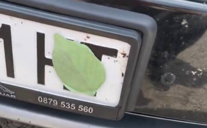 coche-iman-hoja-RldxGu34SVL44x2lDHp7m9M-1240x768@abc