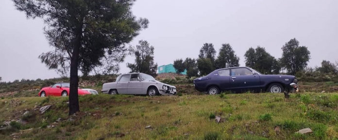 header_montes-de-classicos-amendoeiras-em-flor