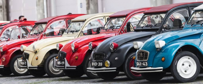 header_nucleo2cv