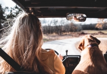 As cinco melhores estradas nacionais para conduzir este verão