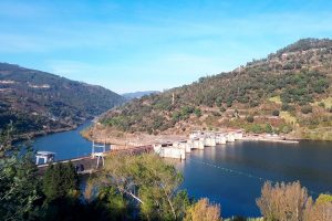 Meia Maratona Douro Verde