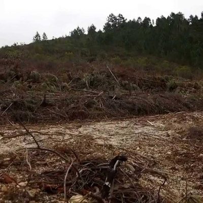 Perdido pela Serra da Malcata com um Mitsubishi Outlander hibrido