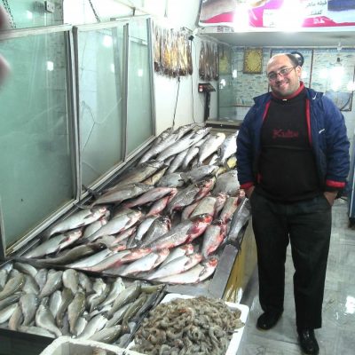 Não há cães no Irão, mas há touros no trânsito